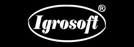 Igrosoft Logo